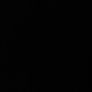 Meet your Posher, Amelia